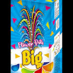 FLOWER POT BIG